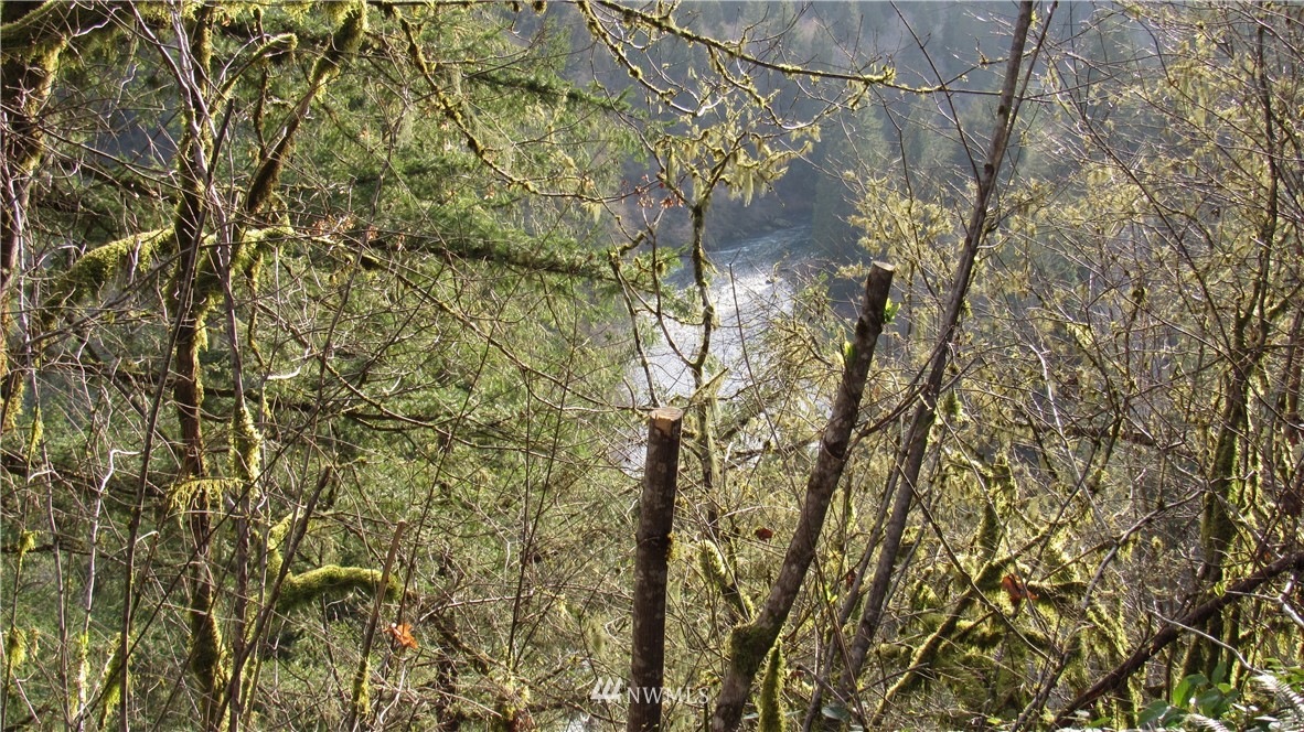 0 Woolford Road Kalama, WA 98625 - Photo 1 of 7 Gallery Image 1