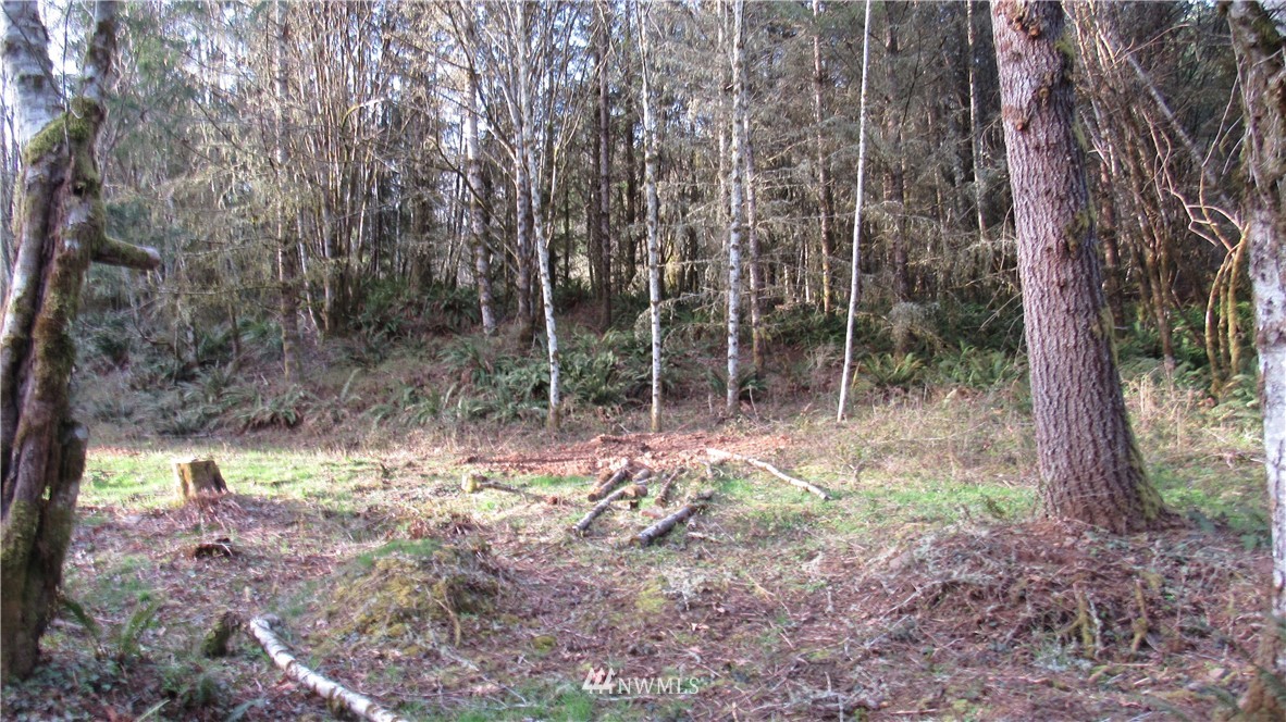 0 Woolford Road Kalama, WA 98625 - Photo 2 of 7 Gallery Image 2