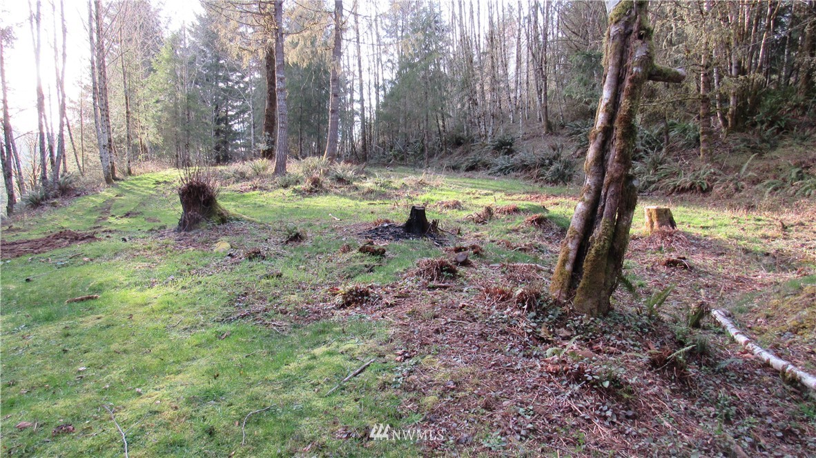 0 Woolford Road Kalama, WA 98625 - Photo 3 of 7 Gallery Image 3