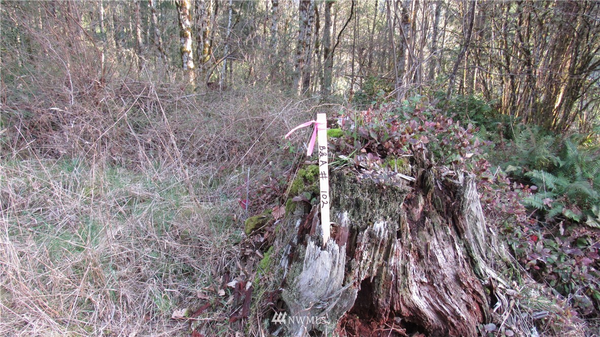0 Woolford Road Kalama, WA 98625 - Photo 7 of 7 Gallery Image 7