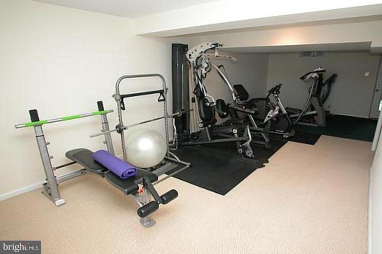 10368 Boca Raton Drive Ellicott City, MD 21042 - Photo 14 of 30 Exercise Area