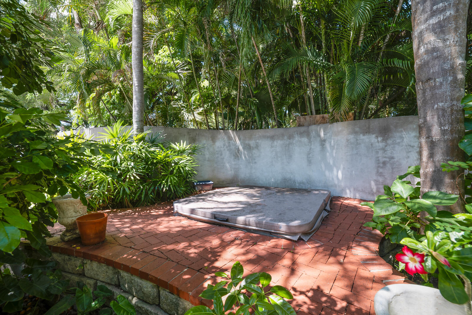 1322 George Street Key West, FL 33040 - Photo 16 of 52 a view of a backyard with plants