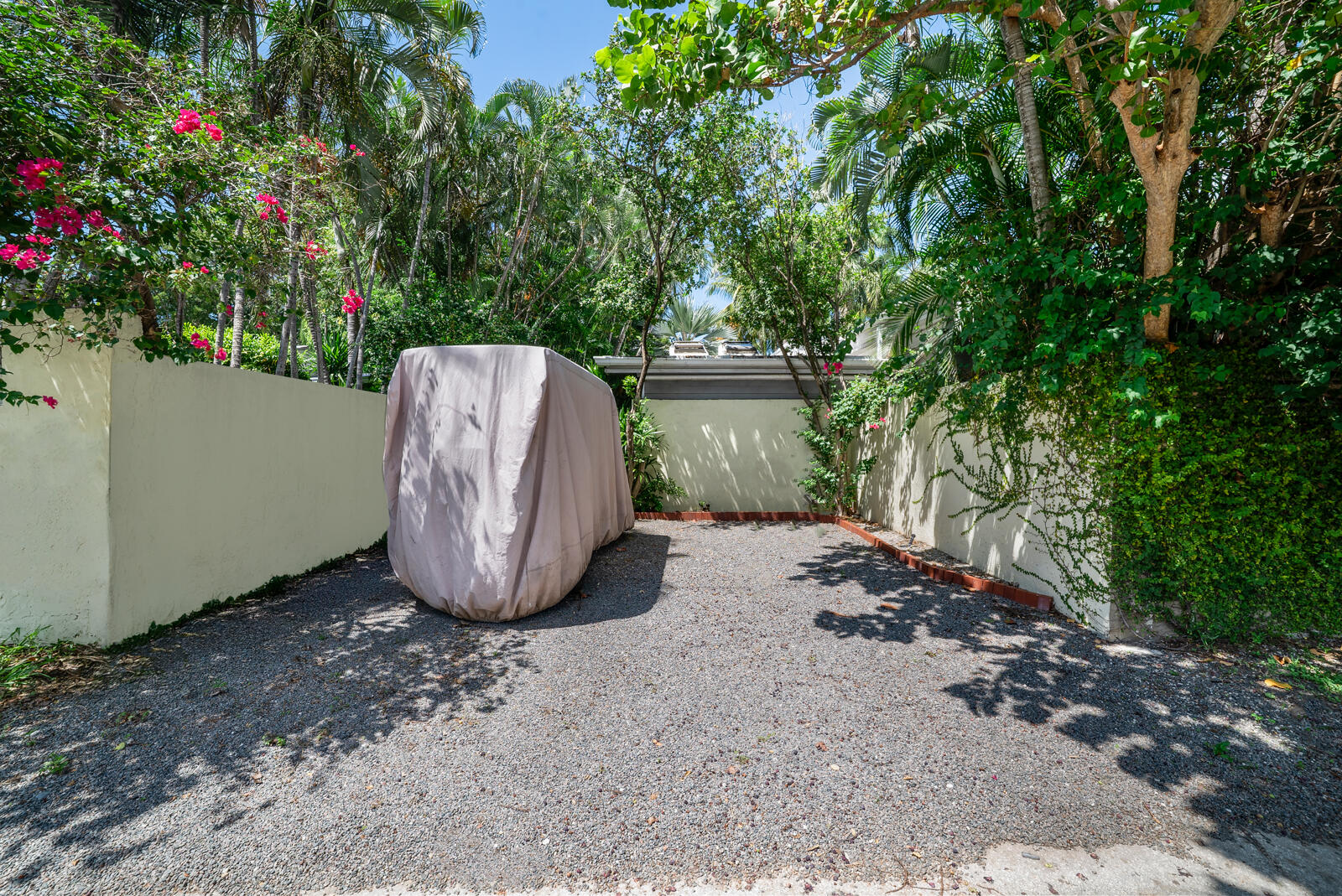 1322 George Street Key West, FL 33040 - Photo 45 of 52 a view of a backyard with large trees and plants