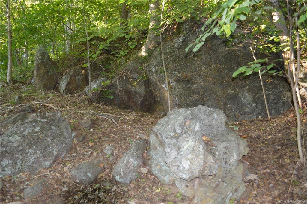 424 Goldfinch Lane Clyde, NC 28721 - Photo 22 of 42