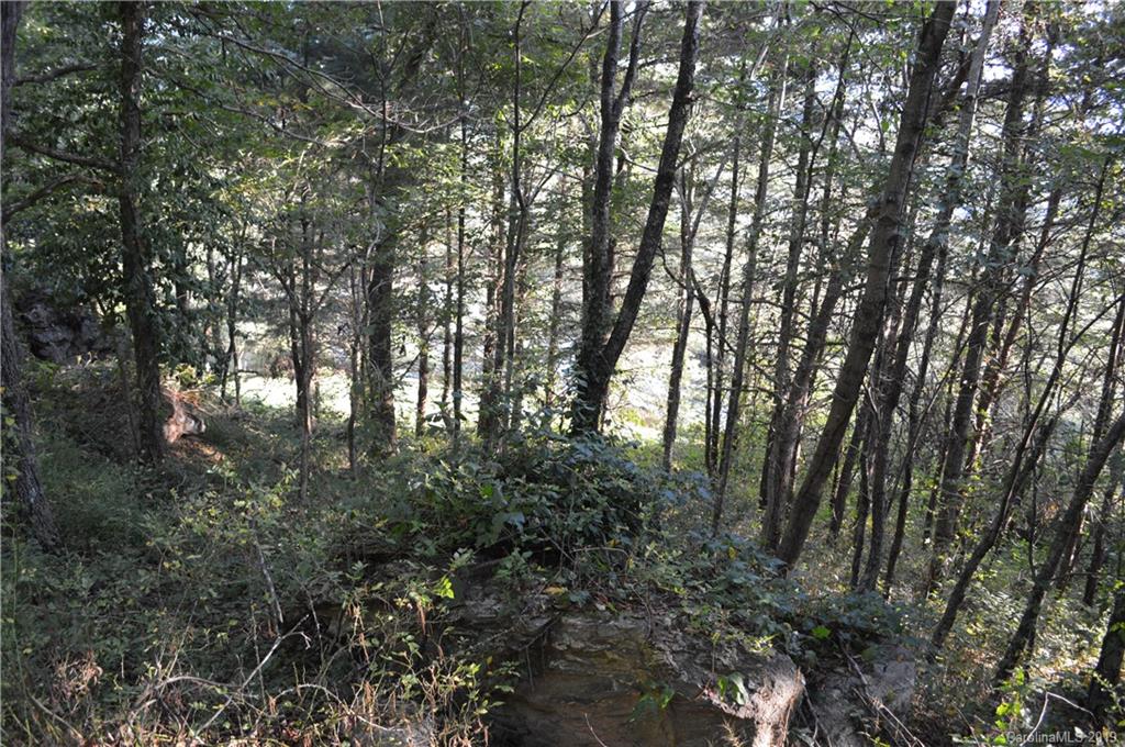 424 Goldfinch Lane Clyde, NC 28721 - Photo 24 of 42