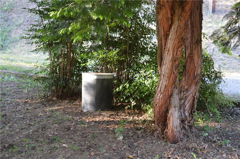 424 Goldfinch Lane Clyde, NC 28721 - Photo 27 of 42 a view of a plants and small trees
