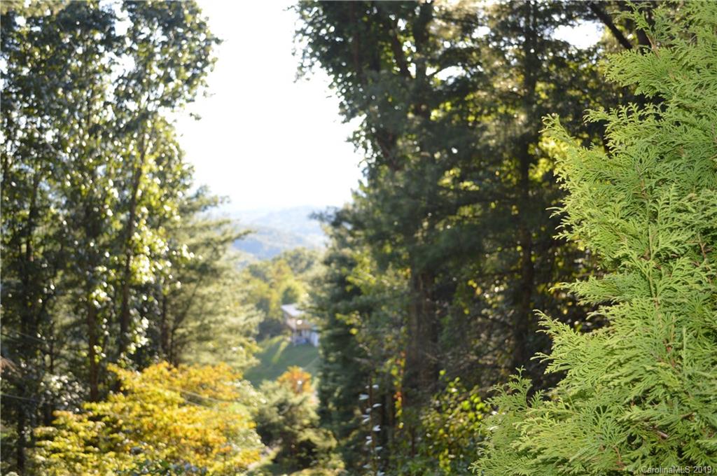 424 Goldfinch Lane Clyde, NC 28721 - Photo 28 of 42