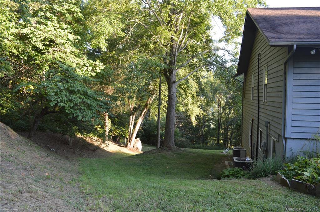 424 Goldfinch Lane Clyde, NC 28721 - Photo 31 of 42 a view of a backyard with plants and a large tree