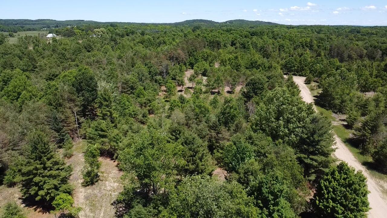 7.91-acres Butwell Road Bear Lake, MI 49614 - Photo 6 of 22 2026-06-22-15-00-14-066