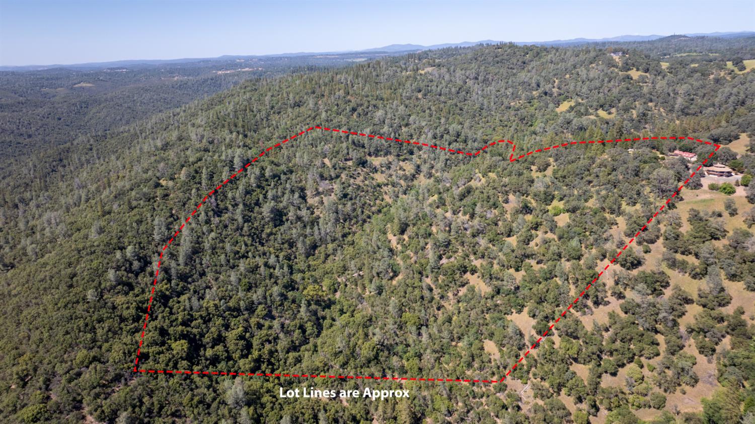 6923 Sagittarius Road Placerville, CA 95667 - Photo 3 of 13 a view of a lush green field with a tree in the background