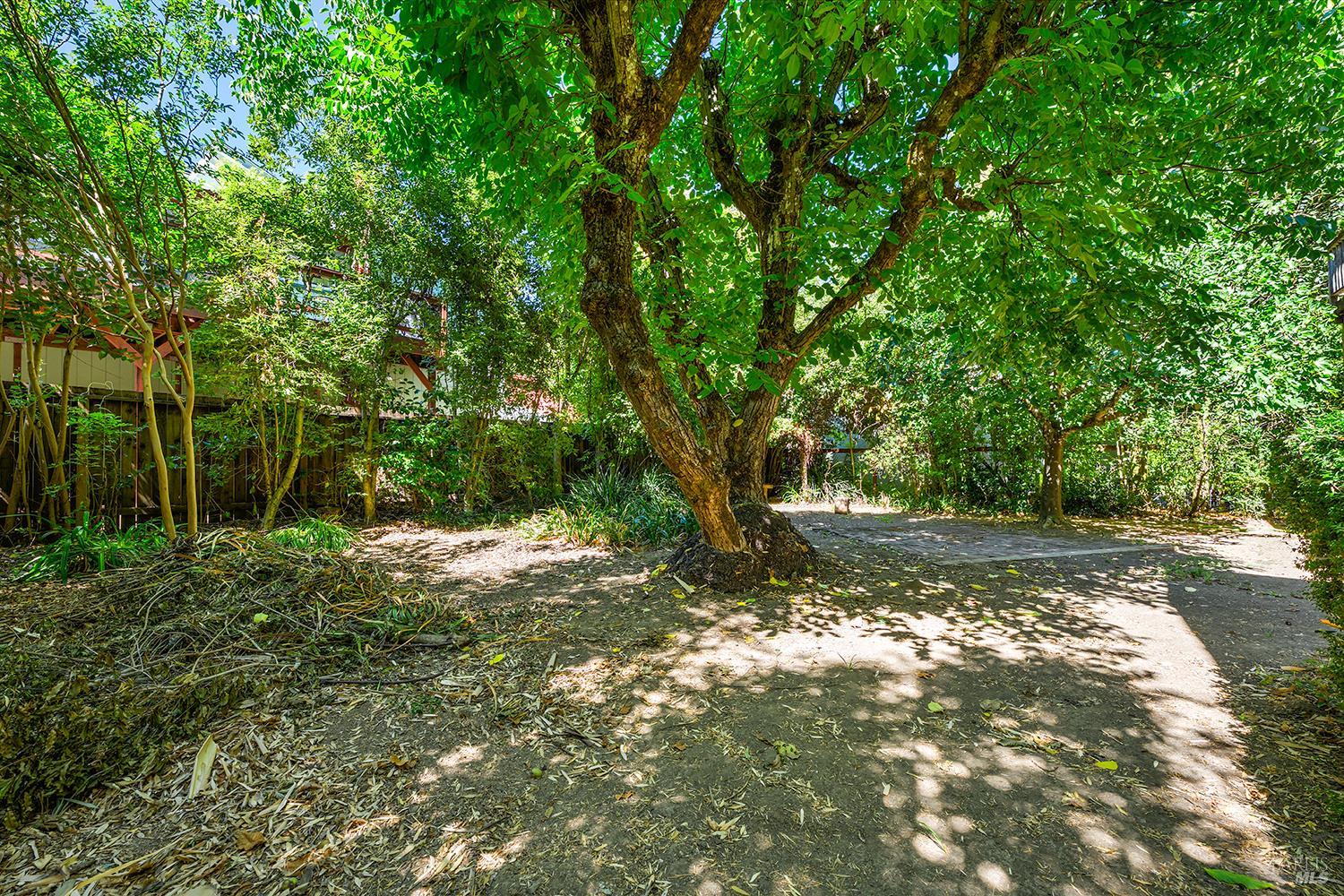 10590 Grays Road Forestville, CA 95436 - Photo 5 of 38