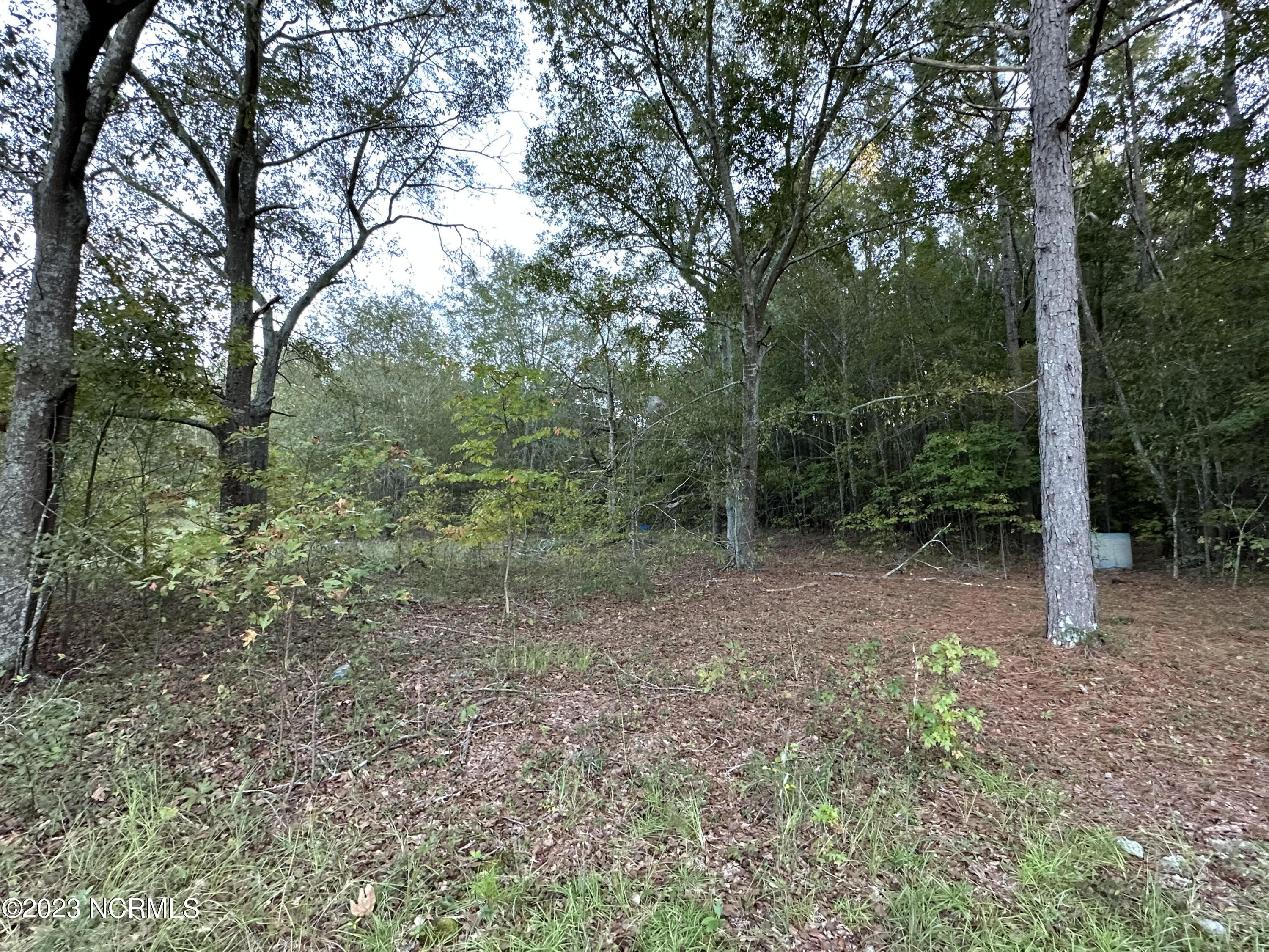 18400 Quicktown Road Hamlet, NC 28345 - Photo 4 of 4 unnamed