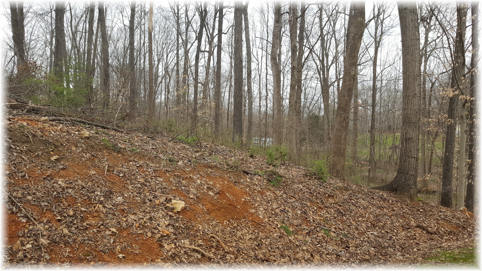 7702 Chester Road Fairview, TN 37062 - Photo 22 of 22 Gallery Image 22