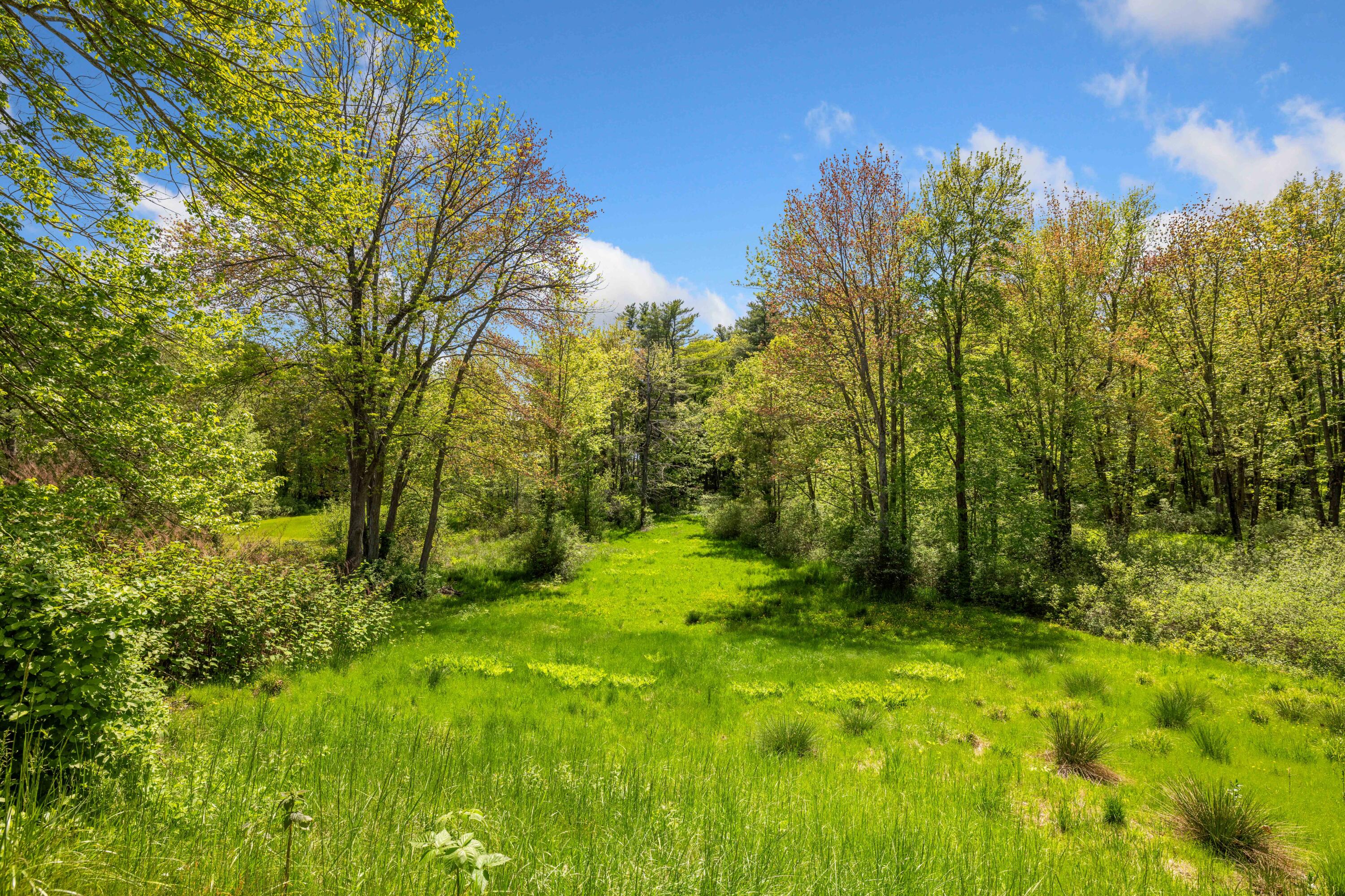 199 Ferry Road Saco, ME 04072 - Photo 60 of 64 Large back yard
