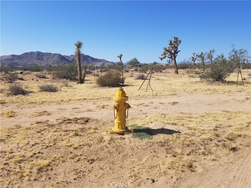 0 Duvall Drive Joshua Tree, CA 92252 - Photo 1 of 3 a view of a backyard of a house