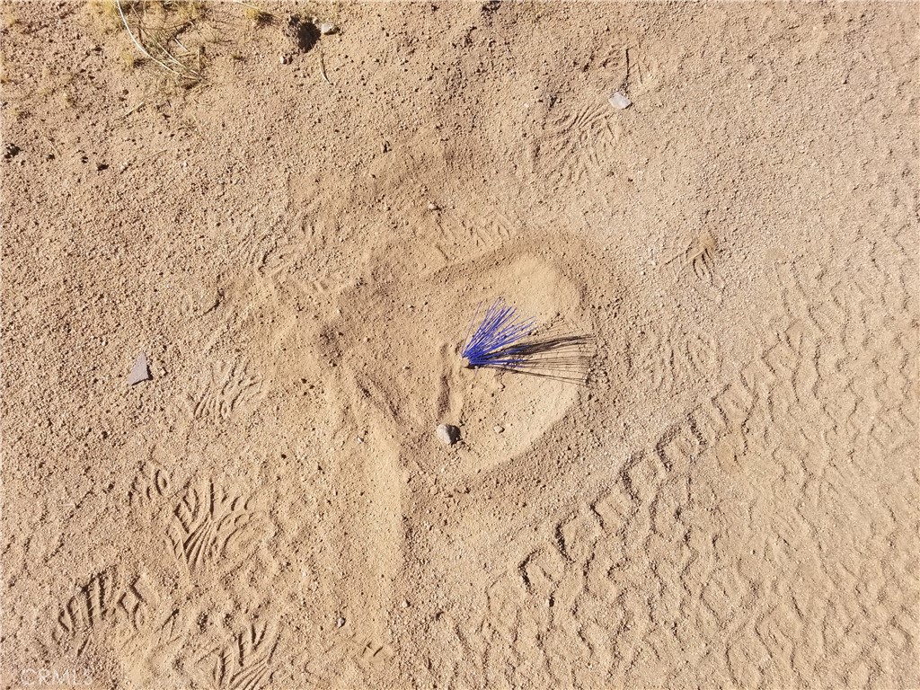 0 Duvall Drive Joshua Tree, CA 92252 - Photo 2 of 3 a bathroom with a bathtub