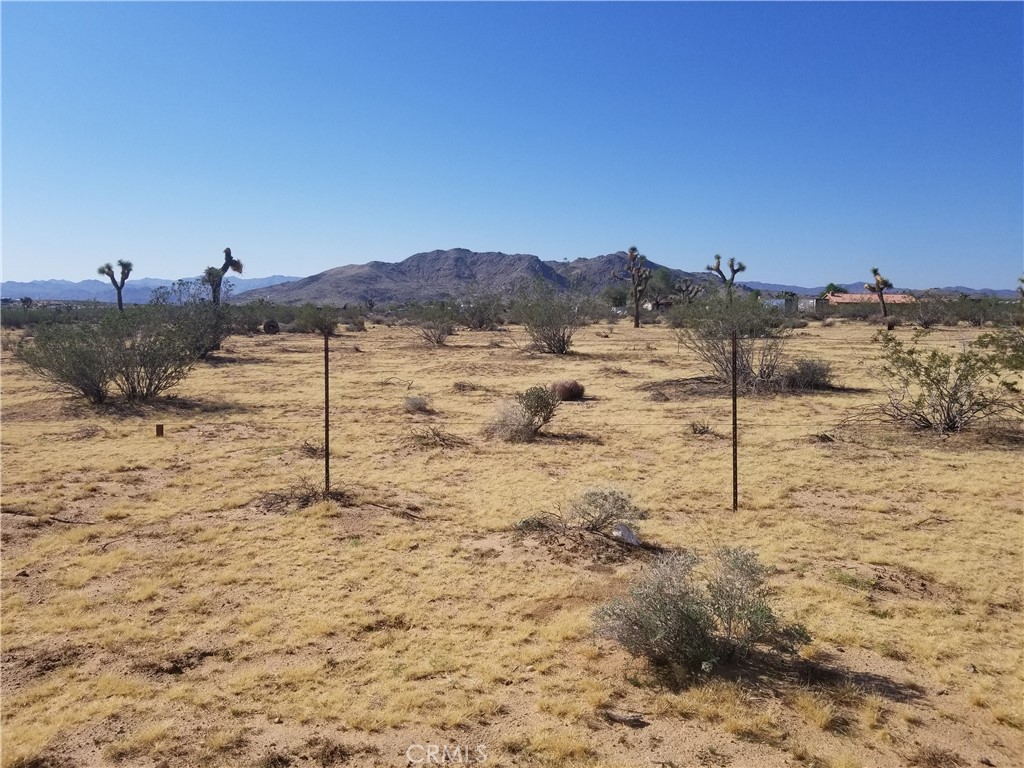 0 Duvall Drive Joshua Tree, CA 92252 - Photo 3 of 3 a view of a dry yard covered with snow