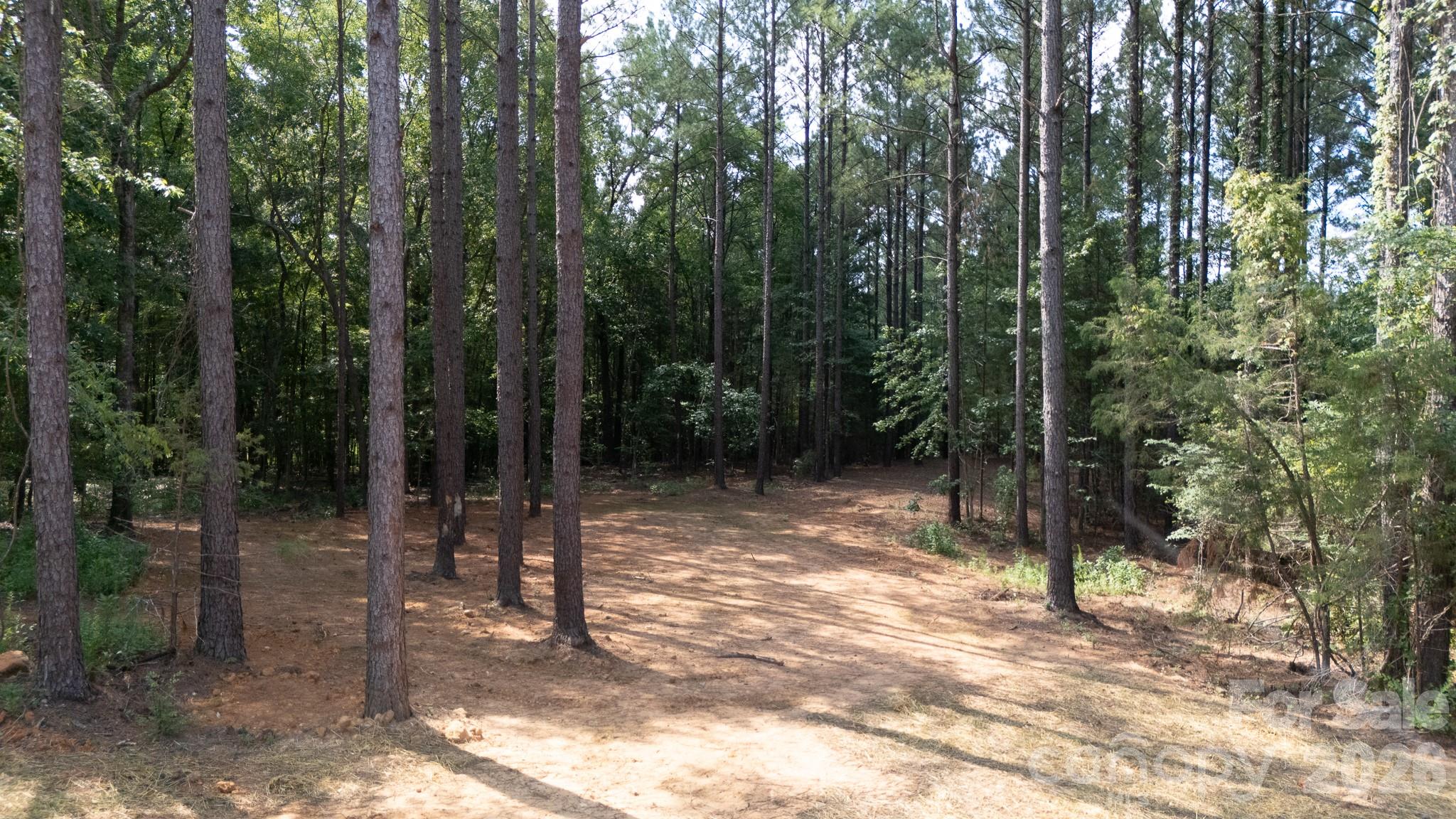 2902 Peden Bridge Road Chester, SC 29706 - Photo 44 of 44 a view of outdoor space with lots of trees