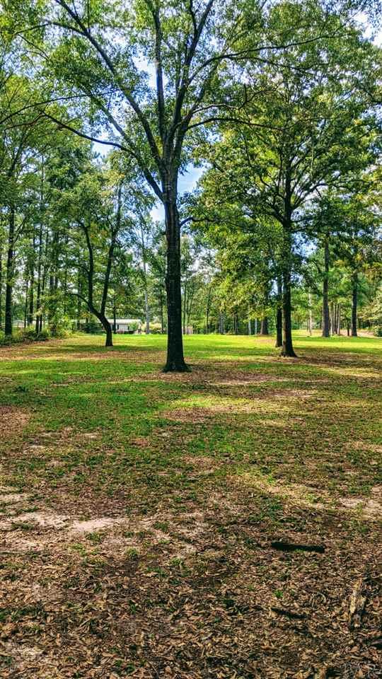 7898 Nathan Jordan Road Millry, AL 36558 - Photo 34 of 34