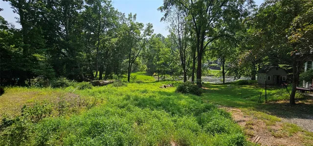 a view of a park with large trees