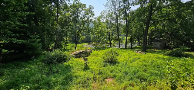 a view of outdoor space and yard