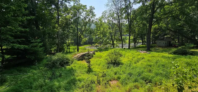 a view of park with trees