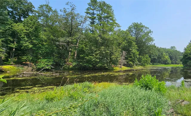 a view of a lake view with houses in back