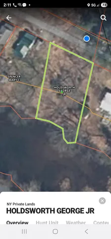 a view of a wooden floor