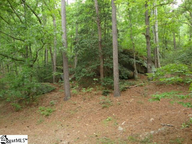 875 State Rd S-37-128 Salem, SC 29676 - Photo 19 of 31 Gallery Image 19
