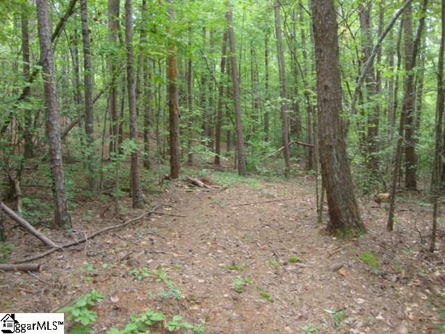 875 State Rd S-37-128 Salem, SC 29676 - Photo 27 of 31 Gallery Image 27