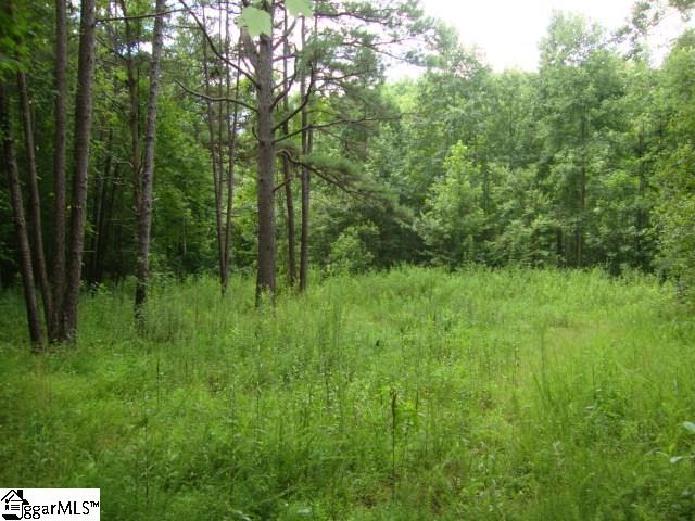 875 State Rd S-37-128 Salem, SC 29676 - Photo 28 of 31 Gallery Image 28