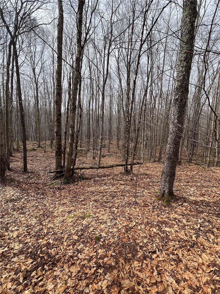 Upper Punchbowl Road Roscoe, NY 12776 - Photo 19 of 41