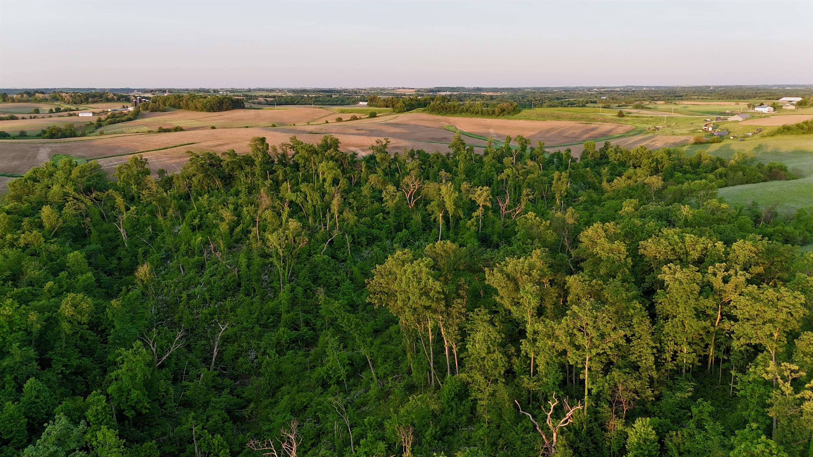 0 County T Boscobel, WI 53805 - Photo 19 of 30