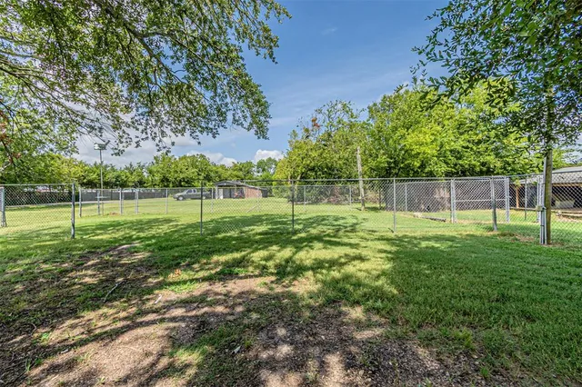 a view of a park with a large tree