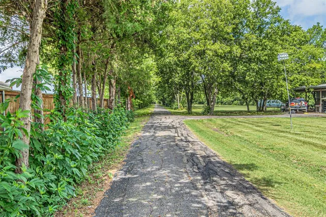 a view of a park with large trees
