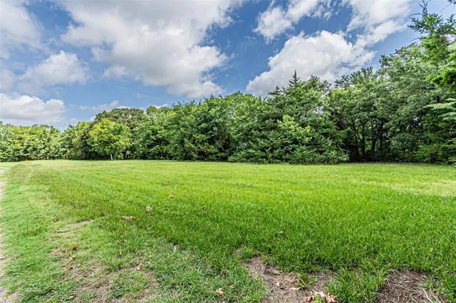 a view of a garden with pathway