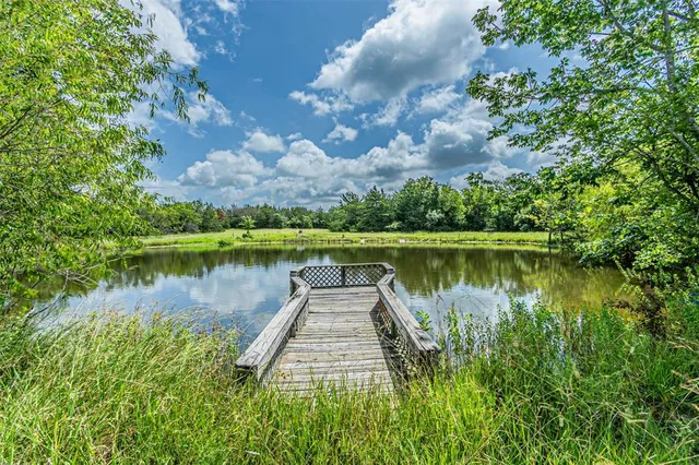 a view of a lake with a large trees