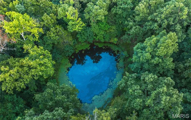 $700,000 | 26287 Radcliff Drive, Richland, MO 65556