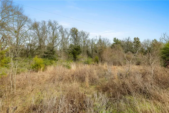 $88,000 | Tbd Tbd Fm-3, Marquez, TX 77865