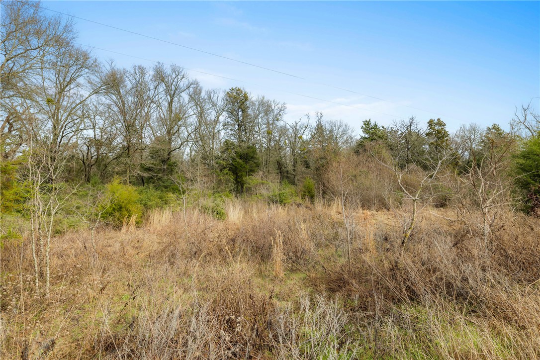 Tbd Tbd Fm-3 Marquez, TX 77865 - Photo 2 of 11 View of local wilderness