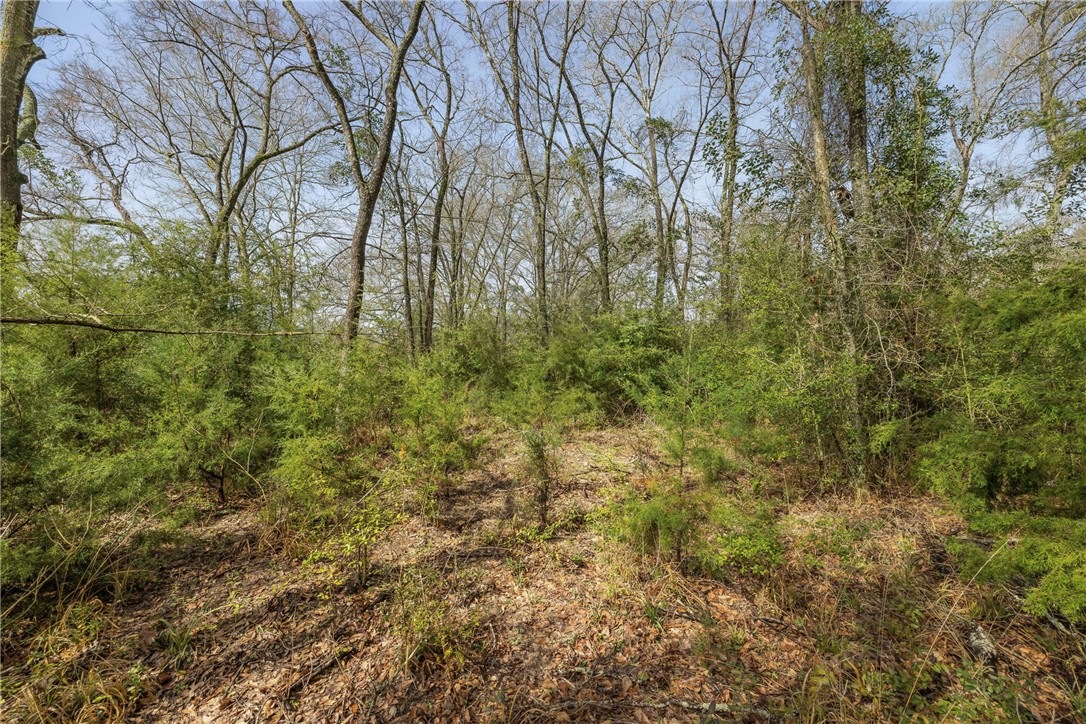 Tbd Tbd Fm-3 Marquez, TX 77865 - Photo 4 of 11 View of nature featuring a view of trees