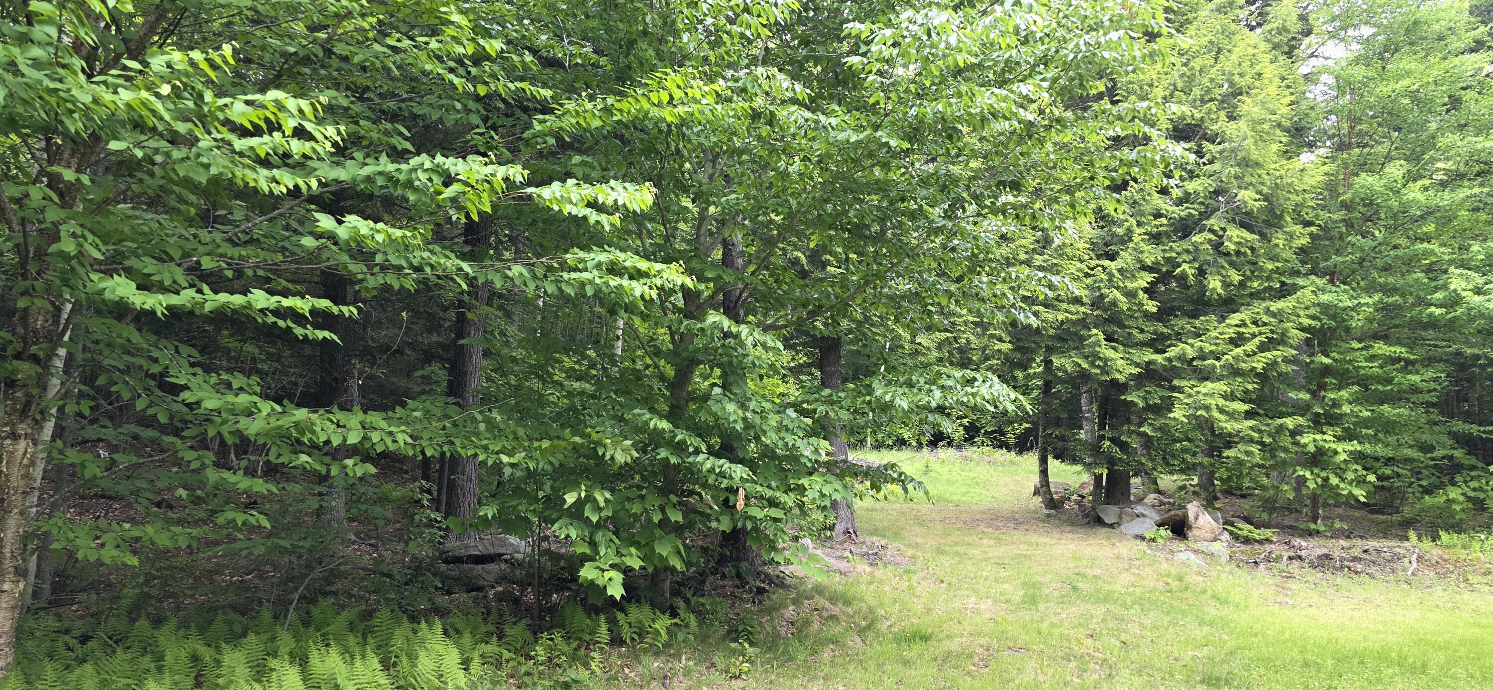 290 Allagash Road Greenville, ME 04441 - Photo 57 of 57 Yard - Lot