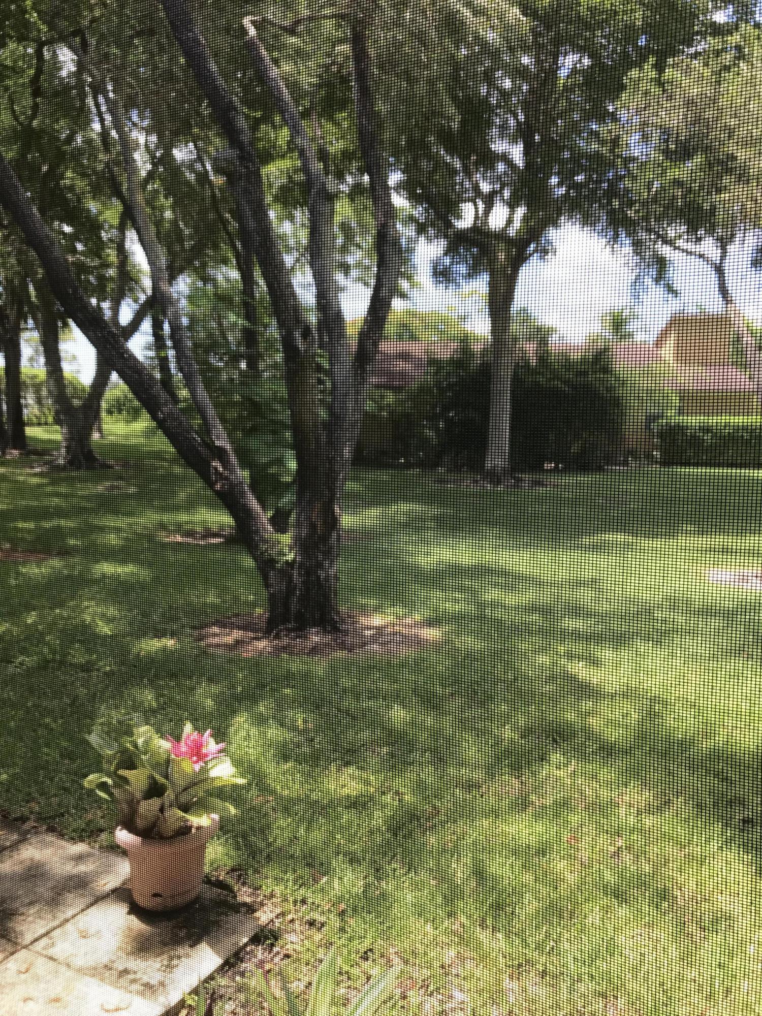 11696 Timbers Way Boca Raton, FL 33428 - Photo 17 of 26 View from Florida Room