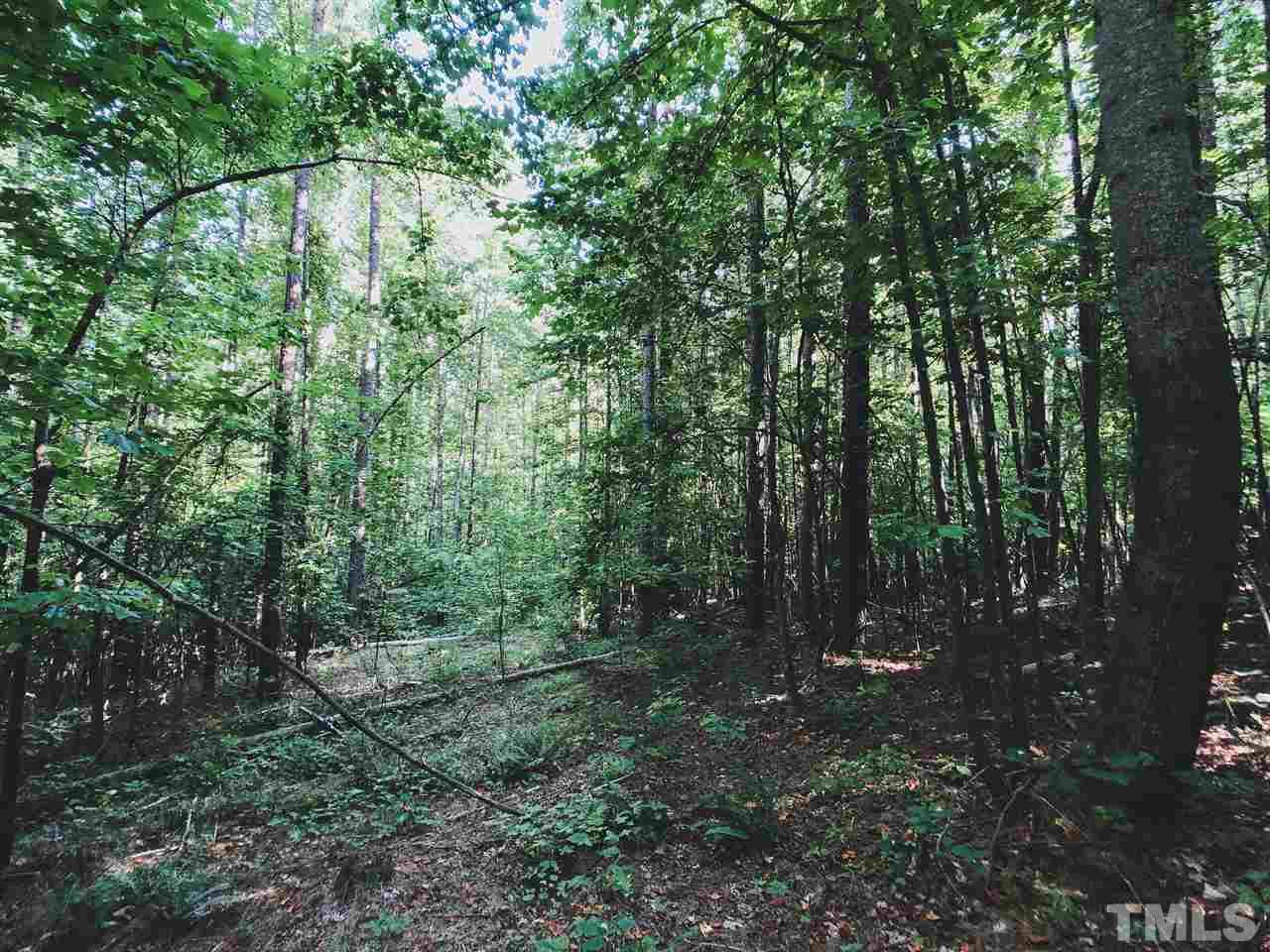 6101 Guess Road Durham, NC 27712 - Photo 4 of 22