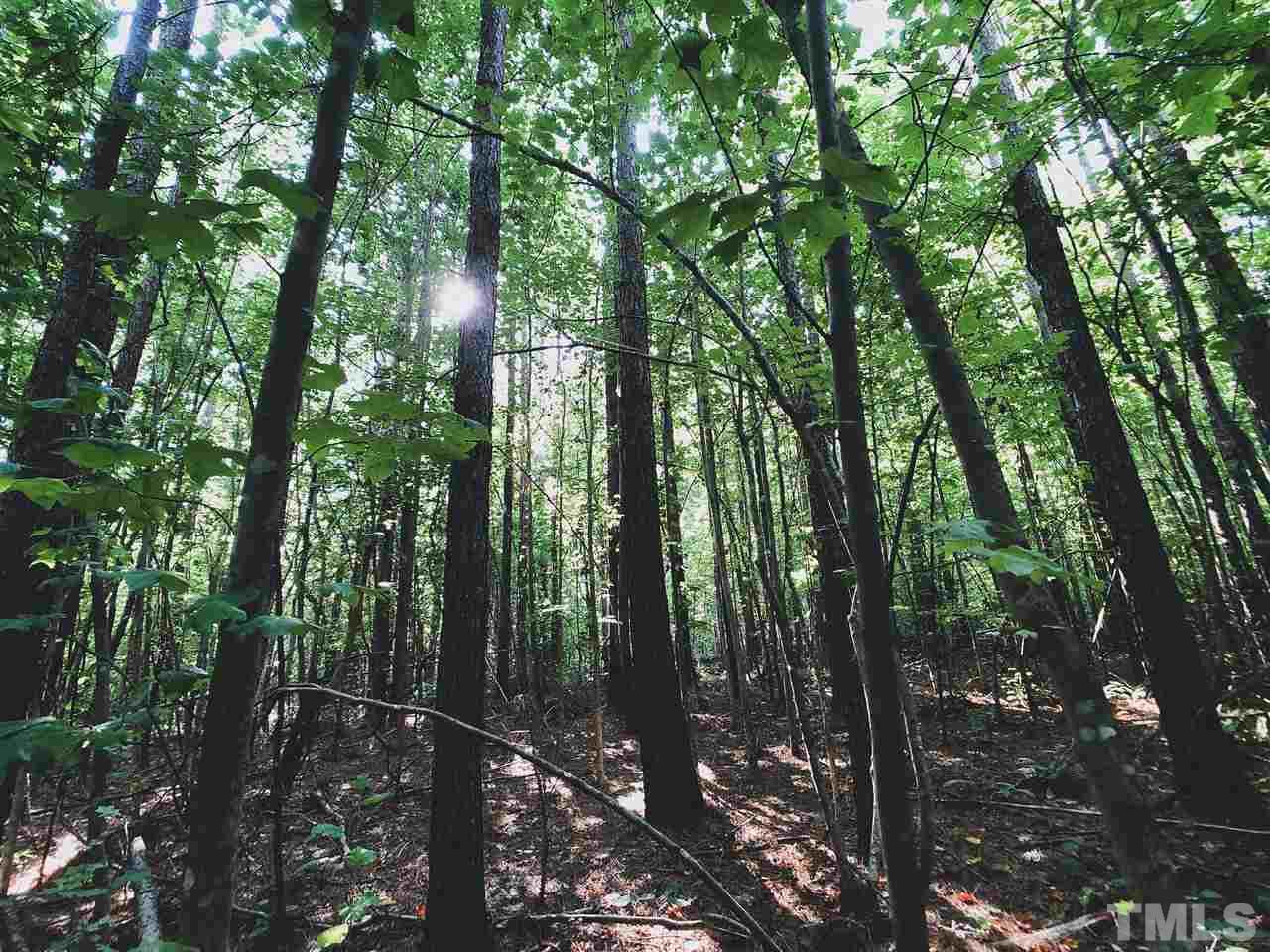 6101 Guess Road Durham, NC 27712 - Photo 8 of 22