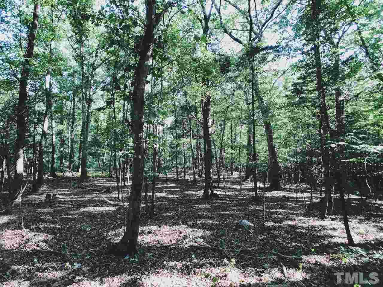 6101 Guess Road Durham, NC 27712 - Photo 9 of 22