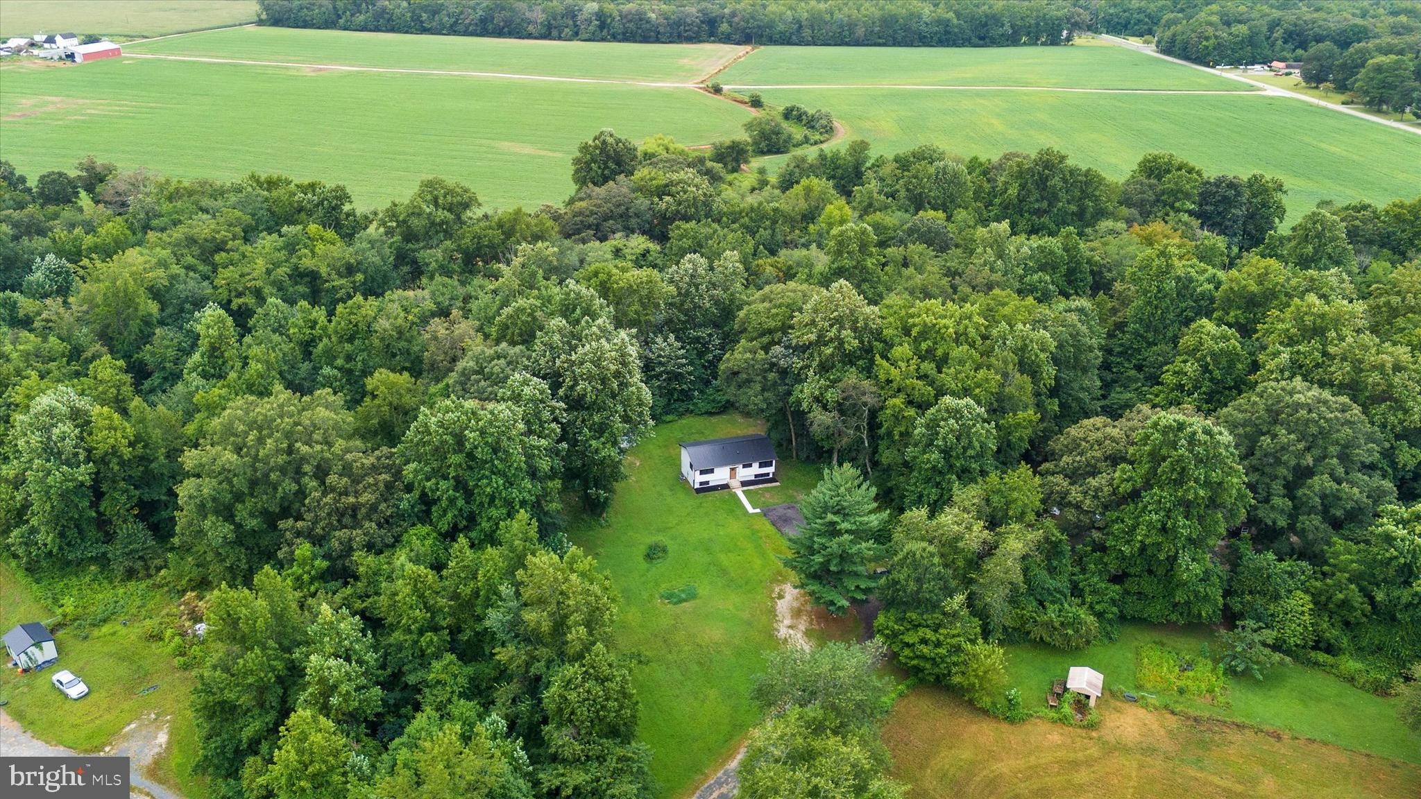 834 Willow Grove Road Felton, DE 19943 - Photo 4 of 48 a view of a big yard with potted plants and large tree