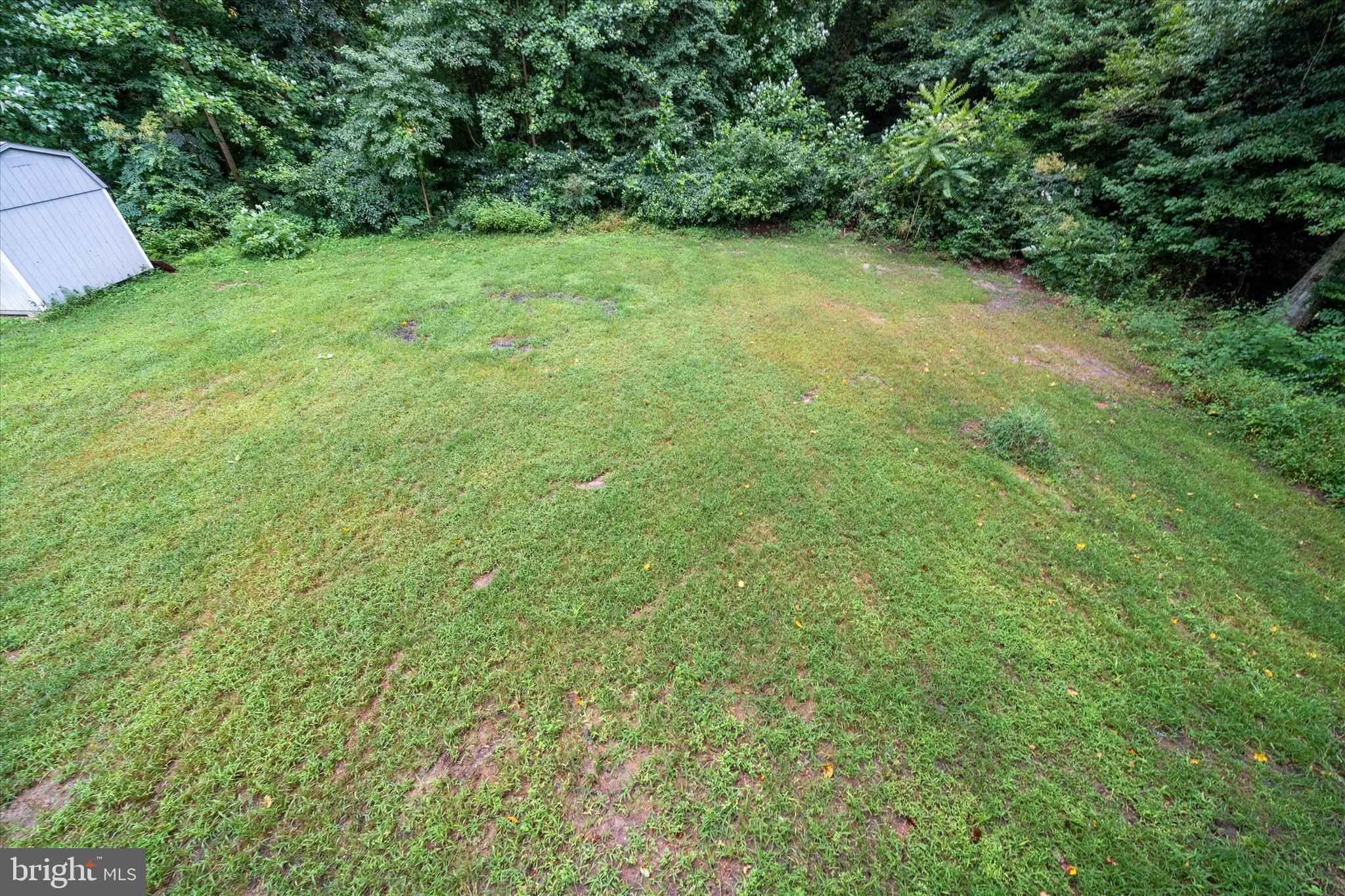 834 Willow Grove Road Felton, DE 19943 - Photo 48 of 48 a view of a big yard with plants and large trees