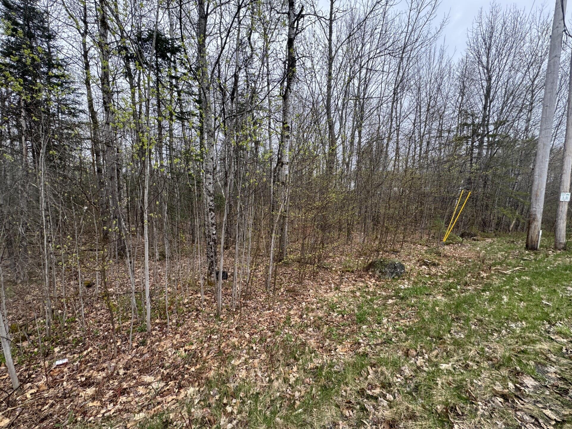 Lot 23 North Dixmont Road Dixmont, ME 04932 - Photo 5 of 5 Ready for a new owner