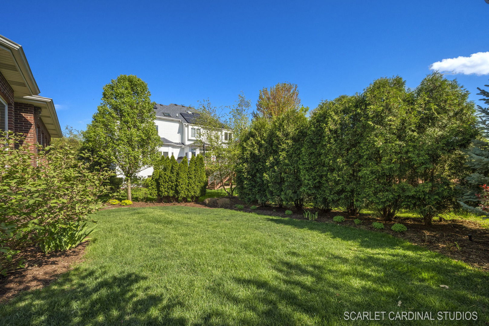 13334 Kerr Street Plainfield, IL 60585 - Photo 44 of 53 a view of a big yard with plants and large trees